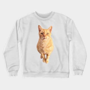 Ginger Cat Front On Crewneck Sweatshirt